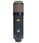 Chandler Limited TG Microphone