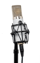 Mojave MA-301fet VG Multi Pattern Large Diaphragm Condenser Microphone