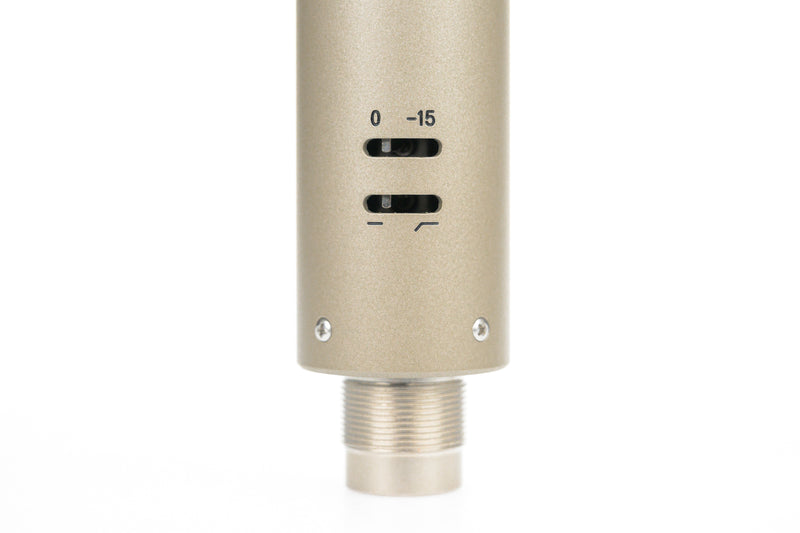 Royer R-12 Active Ribbon Microphone Matched Pair